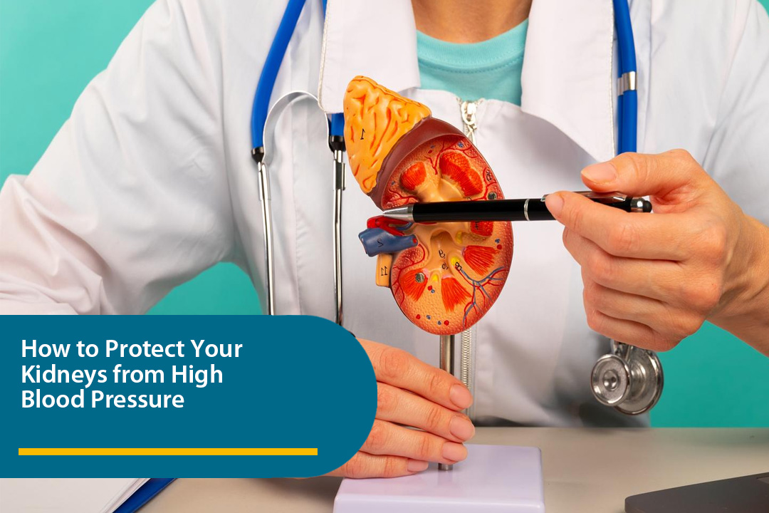 How to Protect Your Kidneys from High Blood Pressure